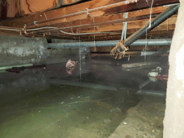Best 24-hour water damage restoration  in Hartford, CT