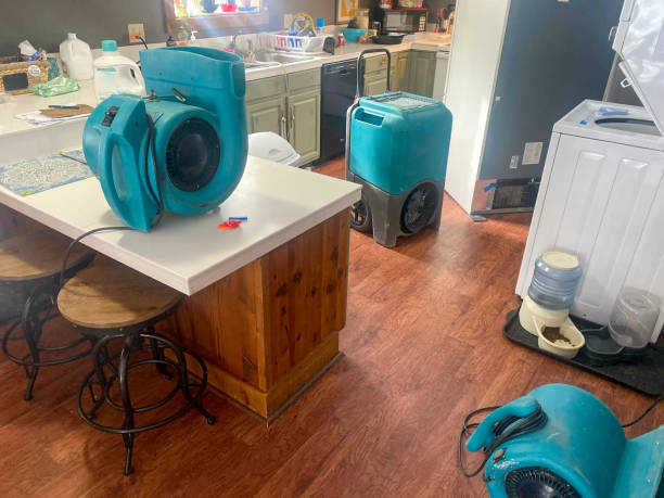 Water damage restoration mold remediation in CT