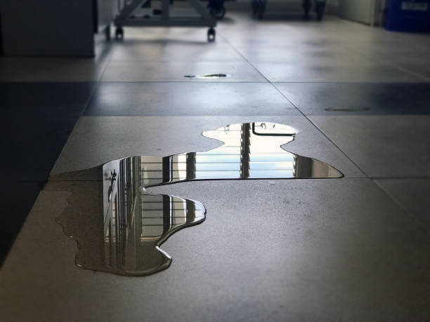 Best Professional water damage repair  in Hartford, CT