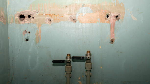 Best Water damage restoration process  in Hartford, CT
