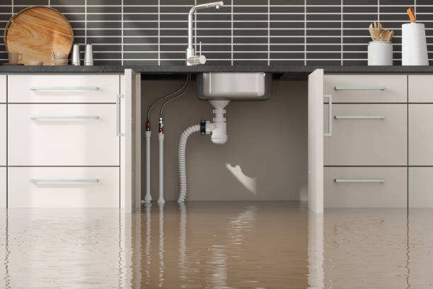 Best Mold removal after water damage  in Hartford, CT